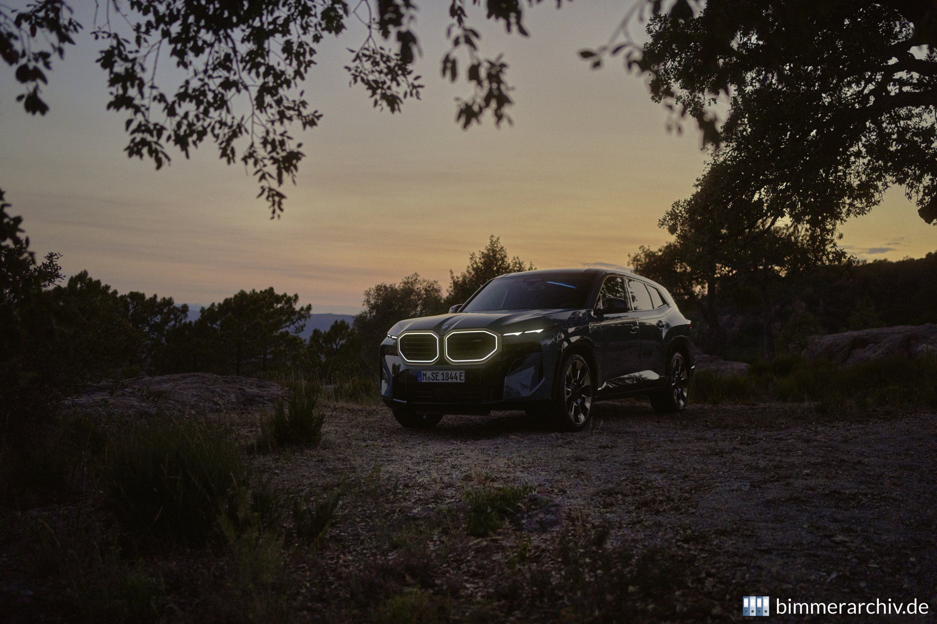 BMW XM