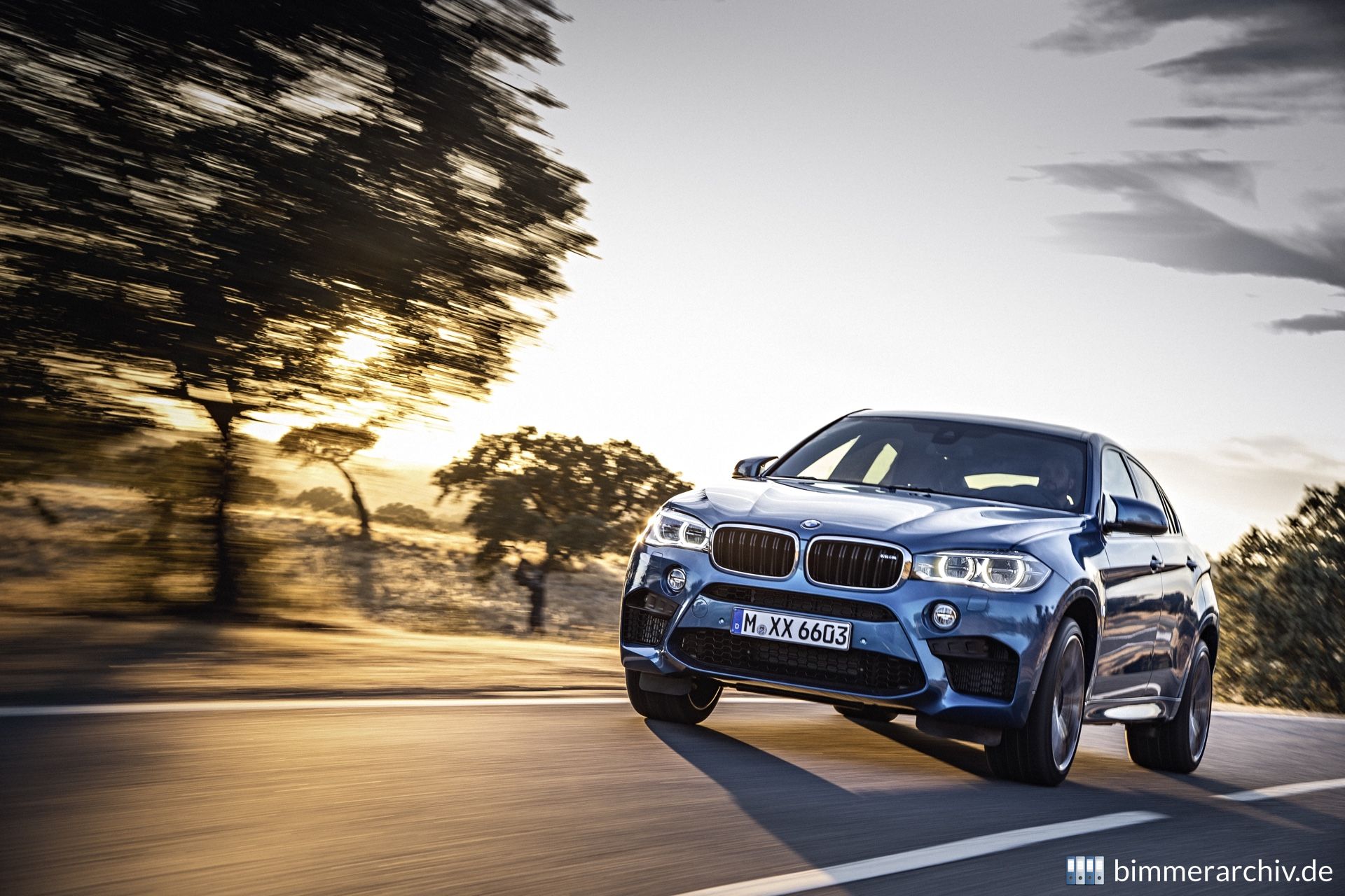 BMW X6 M