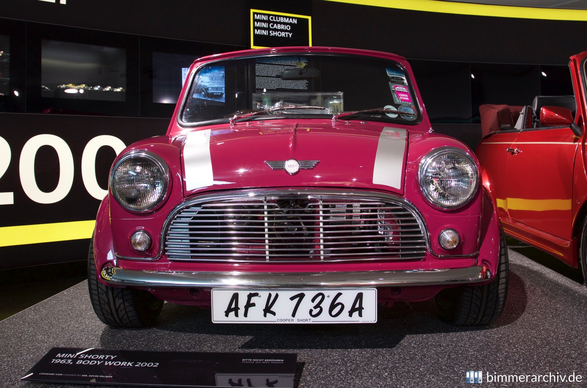 Mini Shorty