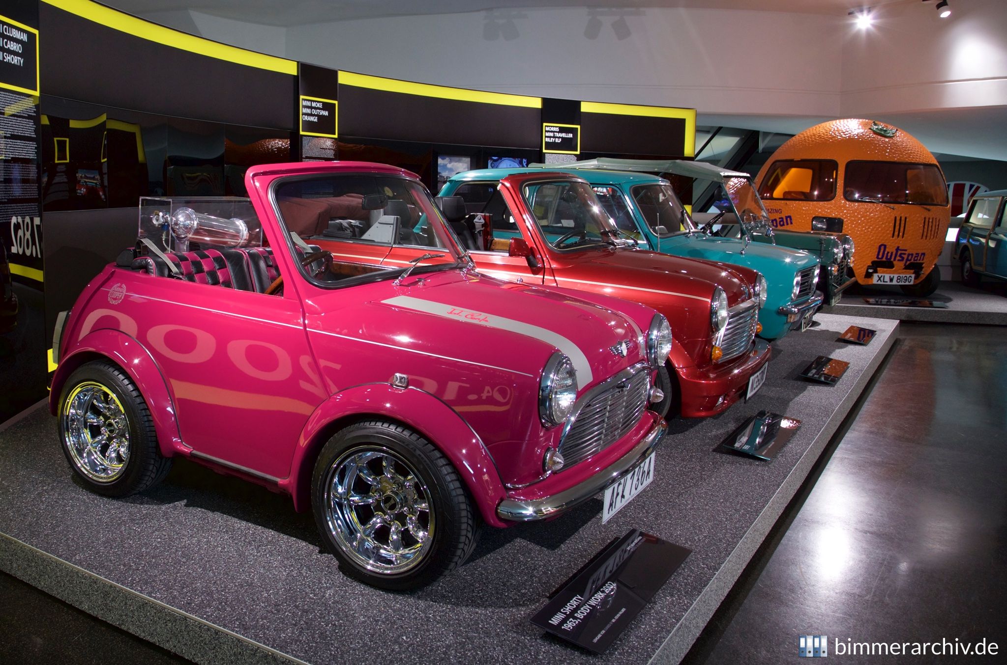 Mini Shorty