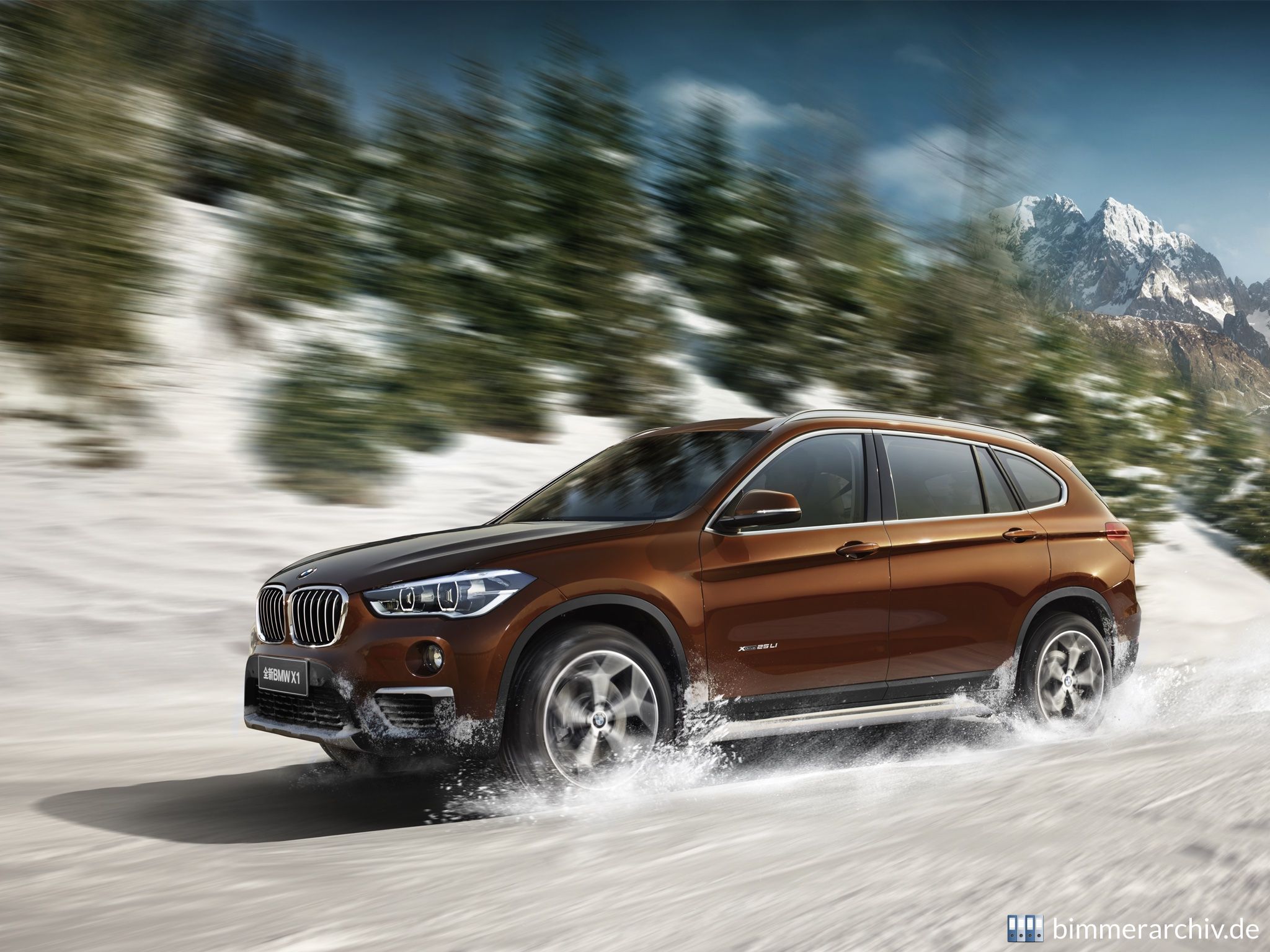 BMW X1 xDrive25Li