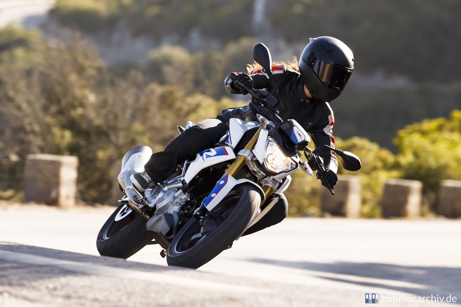 BMW G 310 R