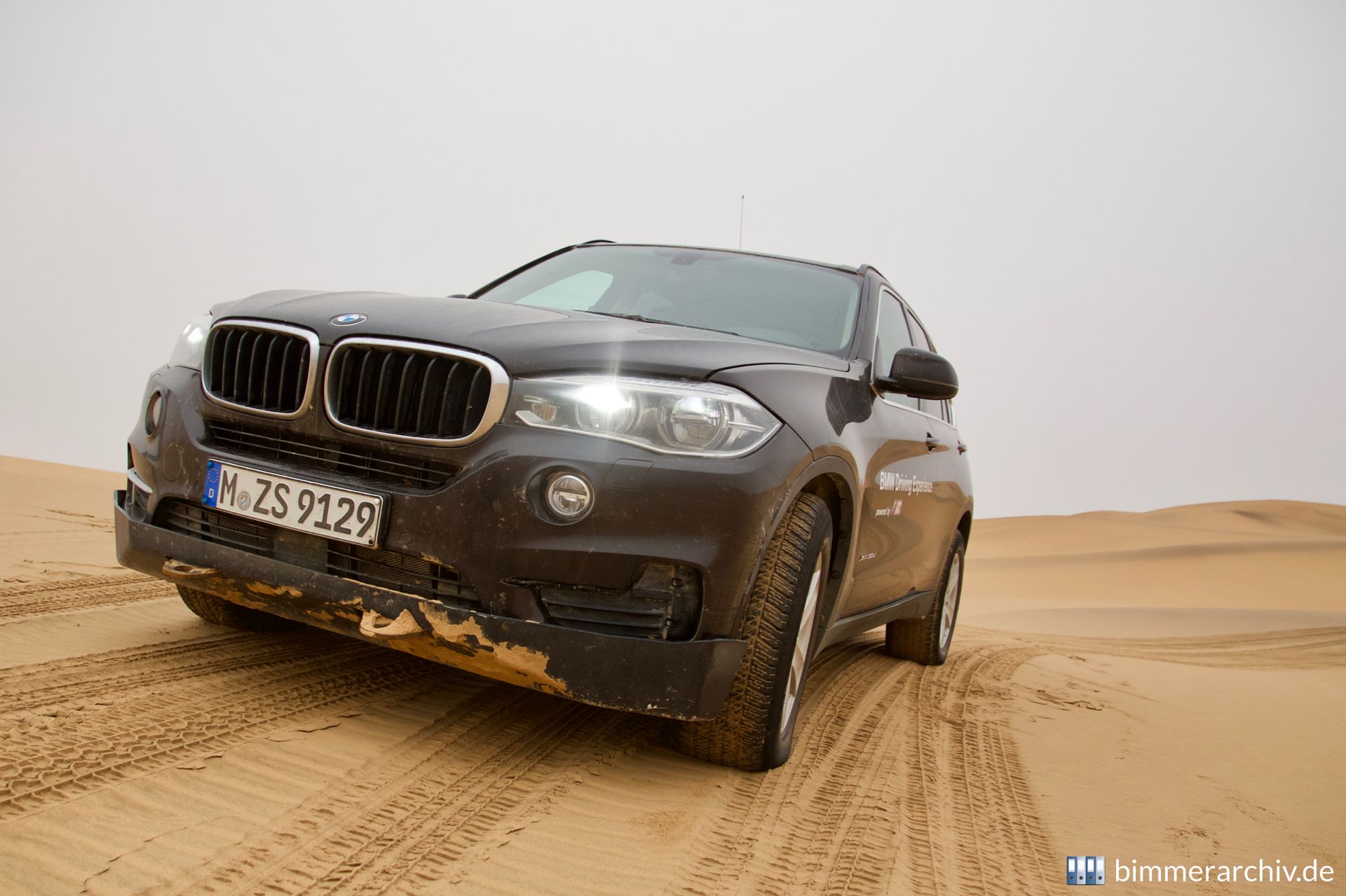 In den Dünen der Namibwüste