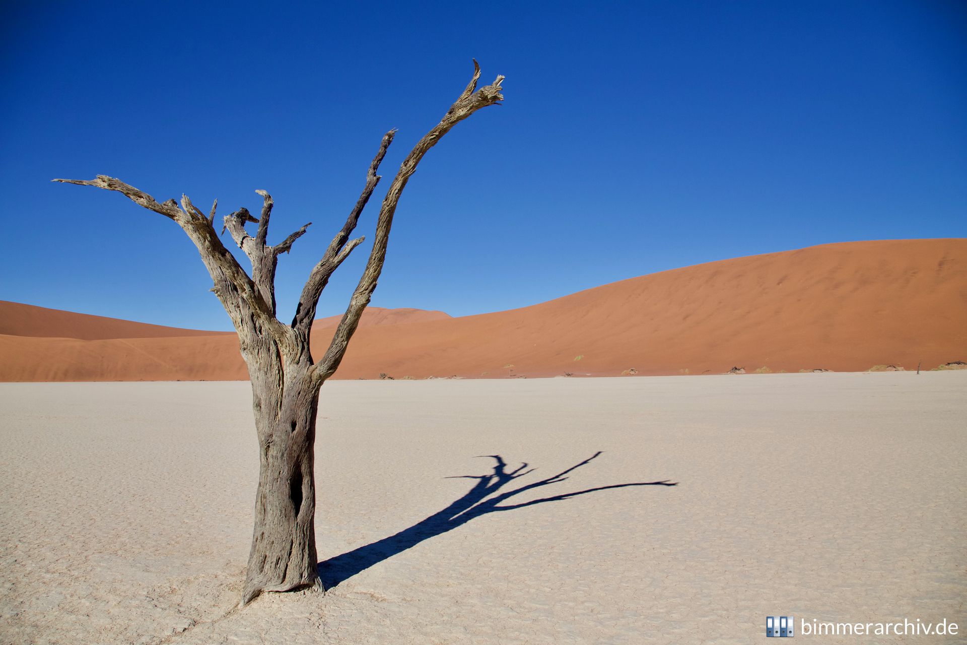 Deadvlei