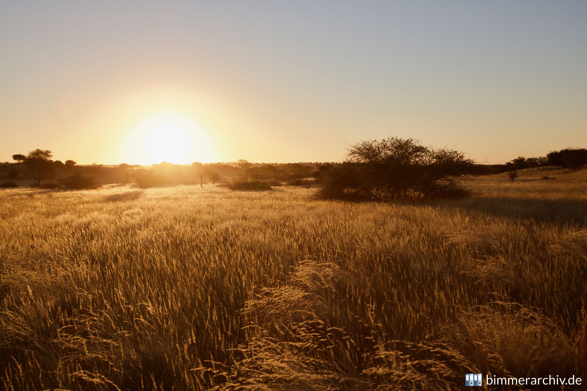 Sonnenuntergang in der Kalahari
