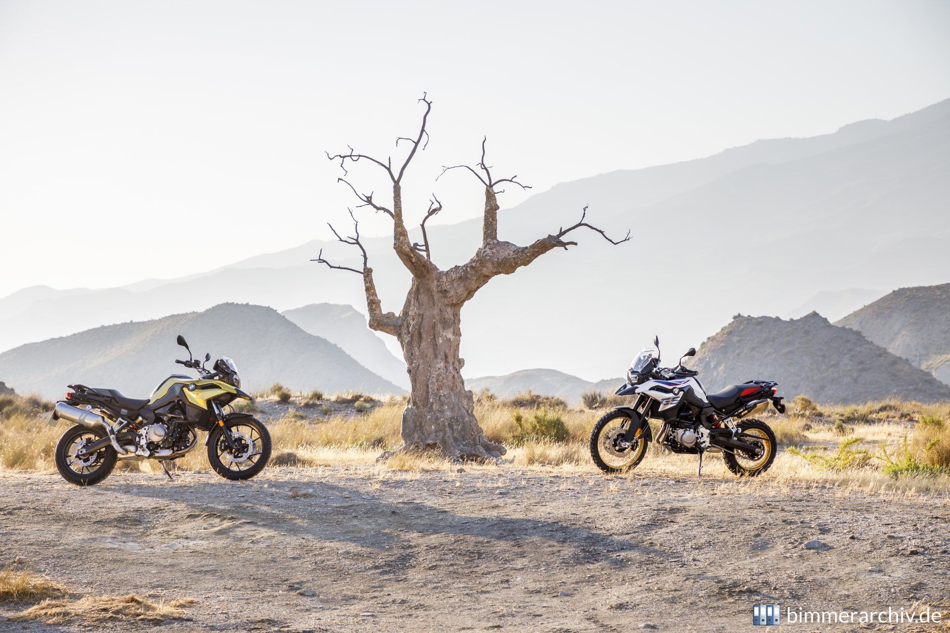 BMW F 750 GS und F 850 GS
