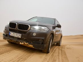 In den Dünen der Namibwüste