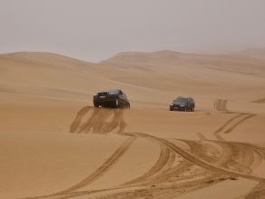 In den Dünen der Namibwüste