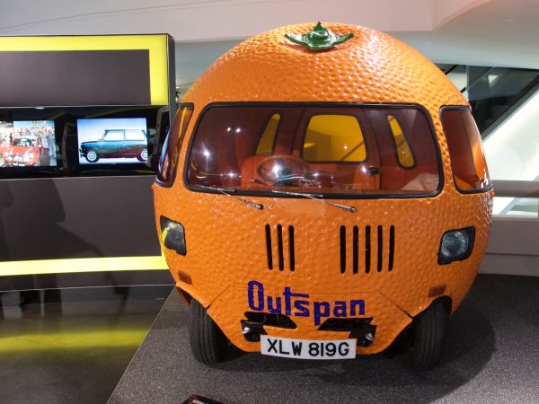 Mini Outspan Orange