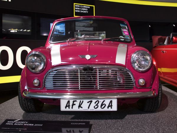 Mini Shorty