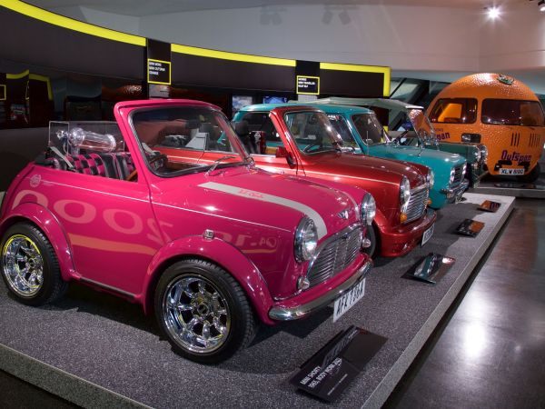 Mini Shorty