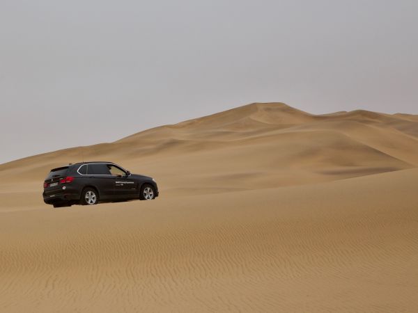 In den Dünen der Namibwüste