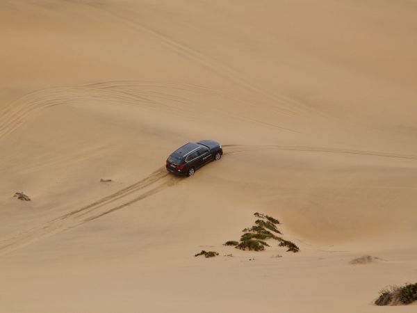 In den Dünen der Namibwüste