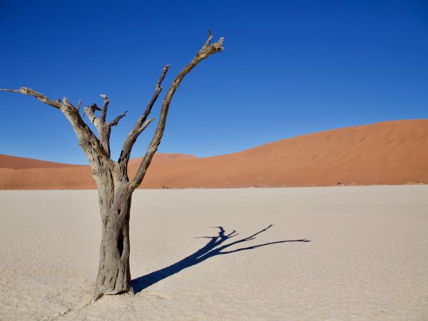 Deadvlei