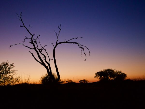 Sonnenuntergang in der Kalahari