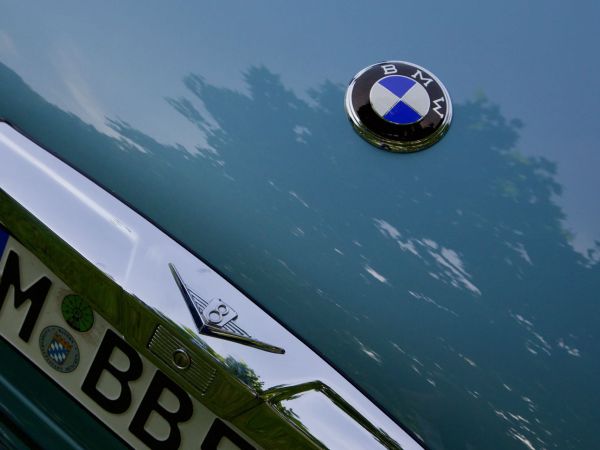 BMW 503