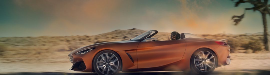 BMW Z4 Concept
