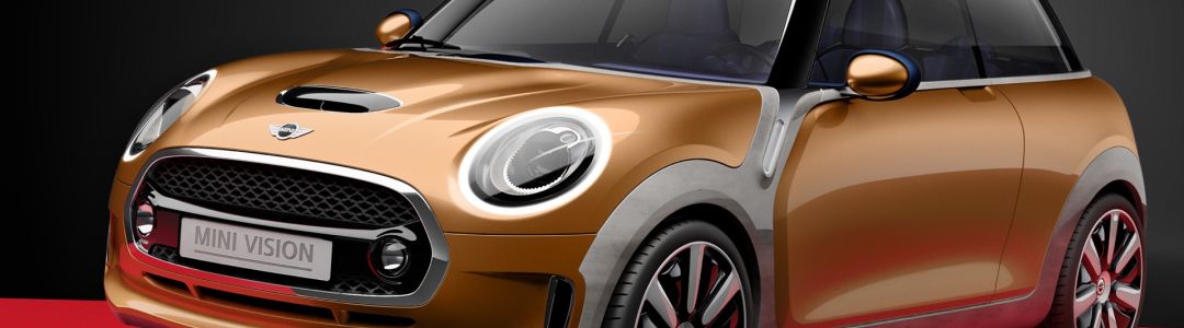 MINI Vision